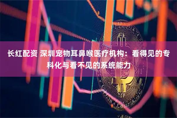 长红配资 深圳宠物耳鼻喉医疗机构：看得见的专科化与看不见的系统能力