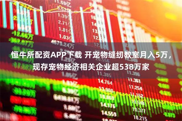 恒牛所配资APP下载 开宠物缝纫教室月入5万，现存宠物经济相关企业超538万家