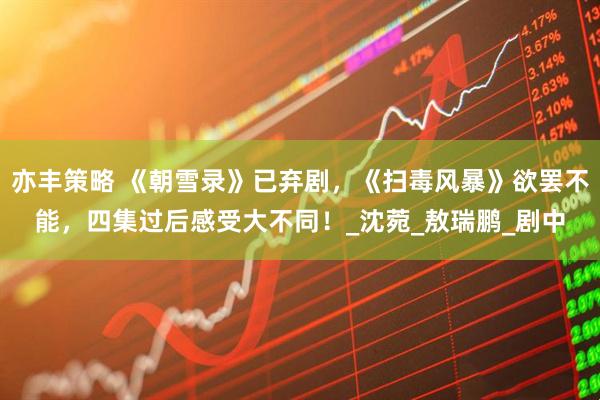 亦丰策略 《朝雪录》已弃剧，《扫毒风暴》欲罢不能，四集过后感受大不同！_沈菀_敖瑞鹏_剧中