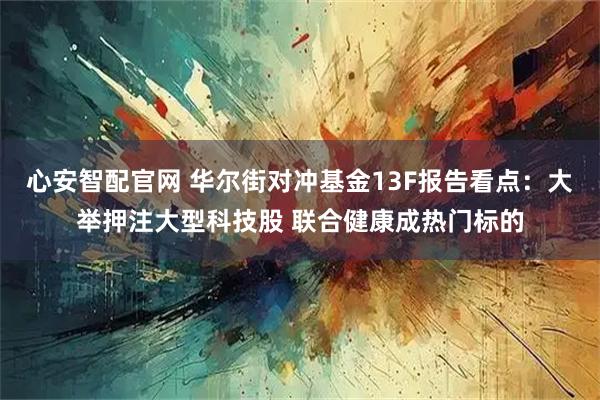 心安智配官网 华尔街对冲基金13F报告看点：大举押注大型科技股 联合健康成热门标的